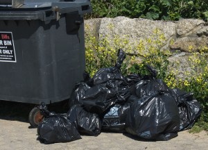 Our heap of full bags, which were collected promptly by the Council