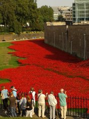 (photo by Beth Marshall)