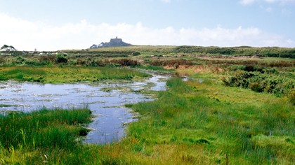marazion marshes